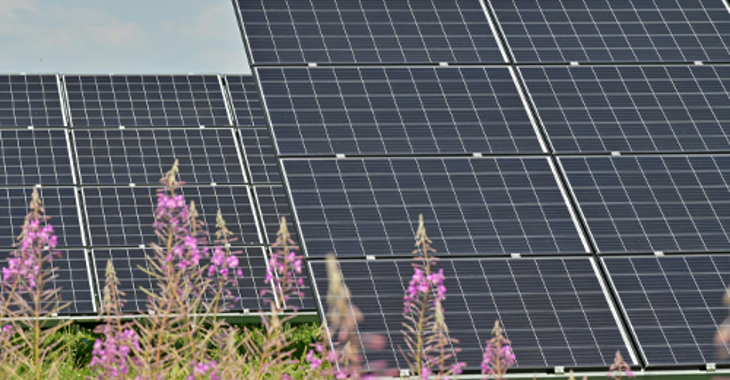 Solar Panels Flowers 500X450