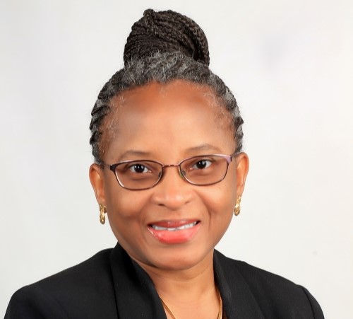 Professor Abimbola Windapo